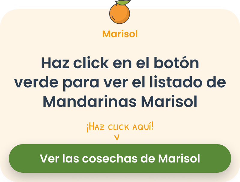mandarina marisol