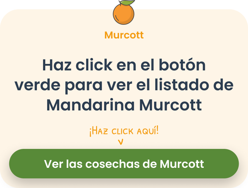Murcott