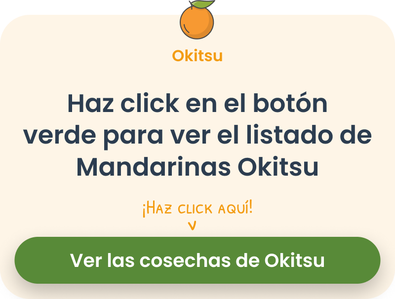 mandarin okitsu