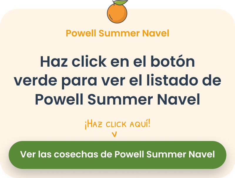 Powell Summer Navel