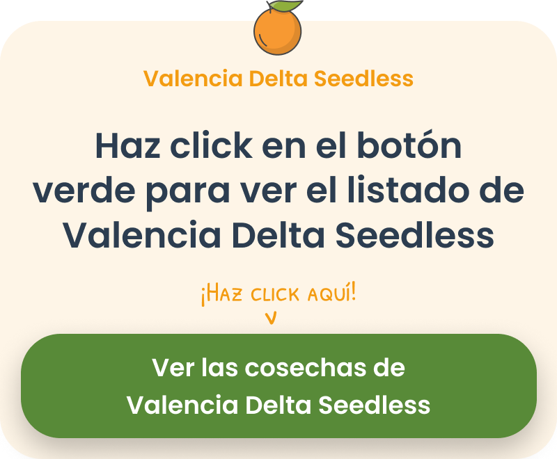 Valencia Delta Seedless