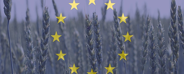 EU+agriculture_165692309